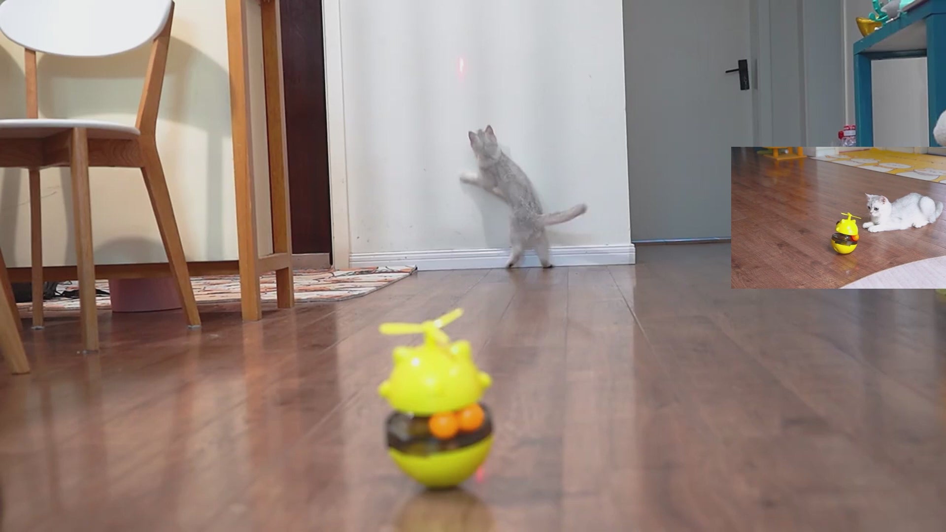 Load video: 3-in-1 Cat Toy Ball: Automatic Laser, Interactive Propeller, and Treat Dispenser